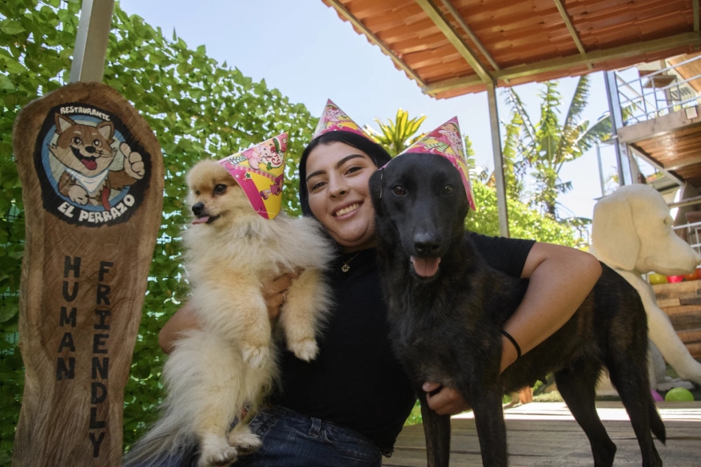 «El perrazo»: El restaurante para perros que se hace viral