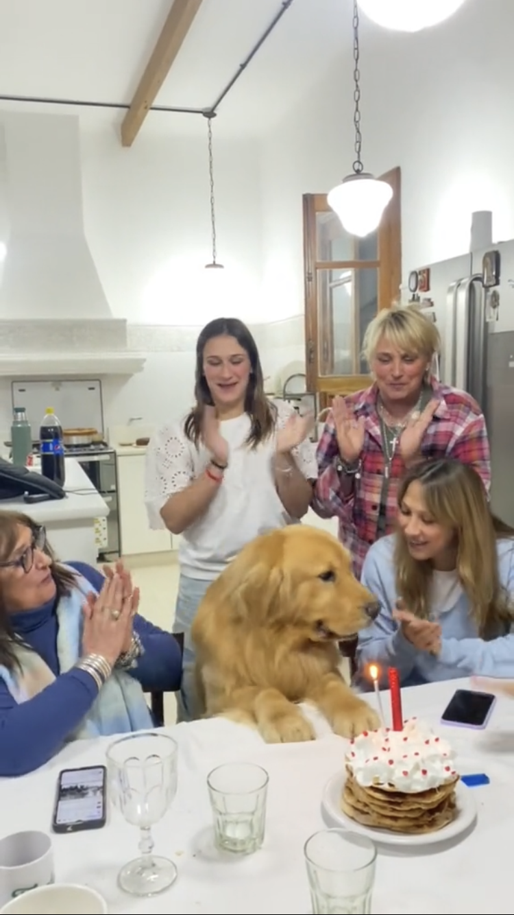 [Vídeo] Perro que ama celebrar su cumpleaños volvió a ser tendencia