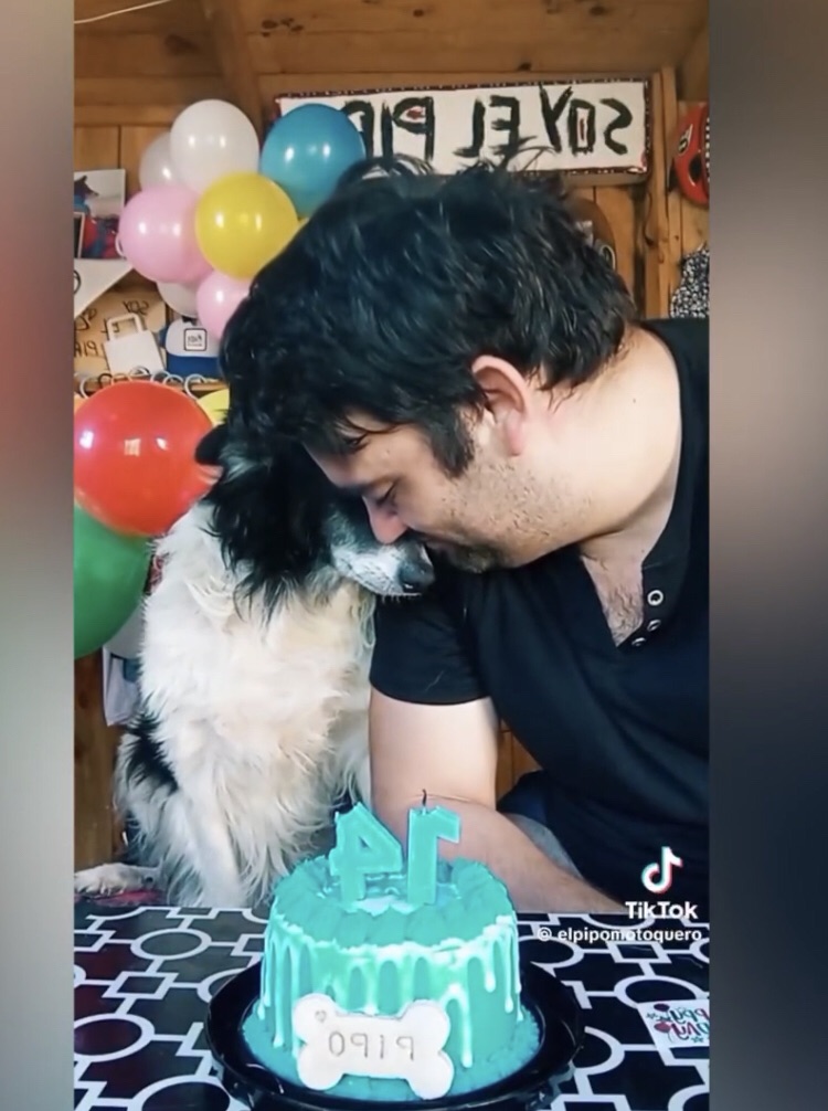 Un hombre celebró con emotivo vídeo los 14 años de su perro